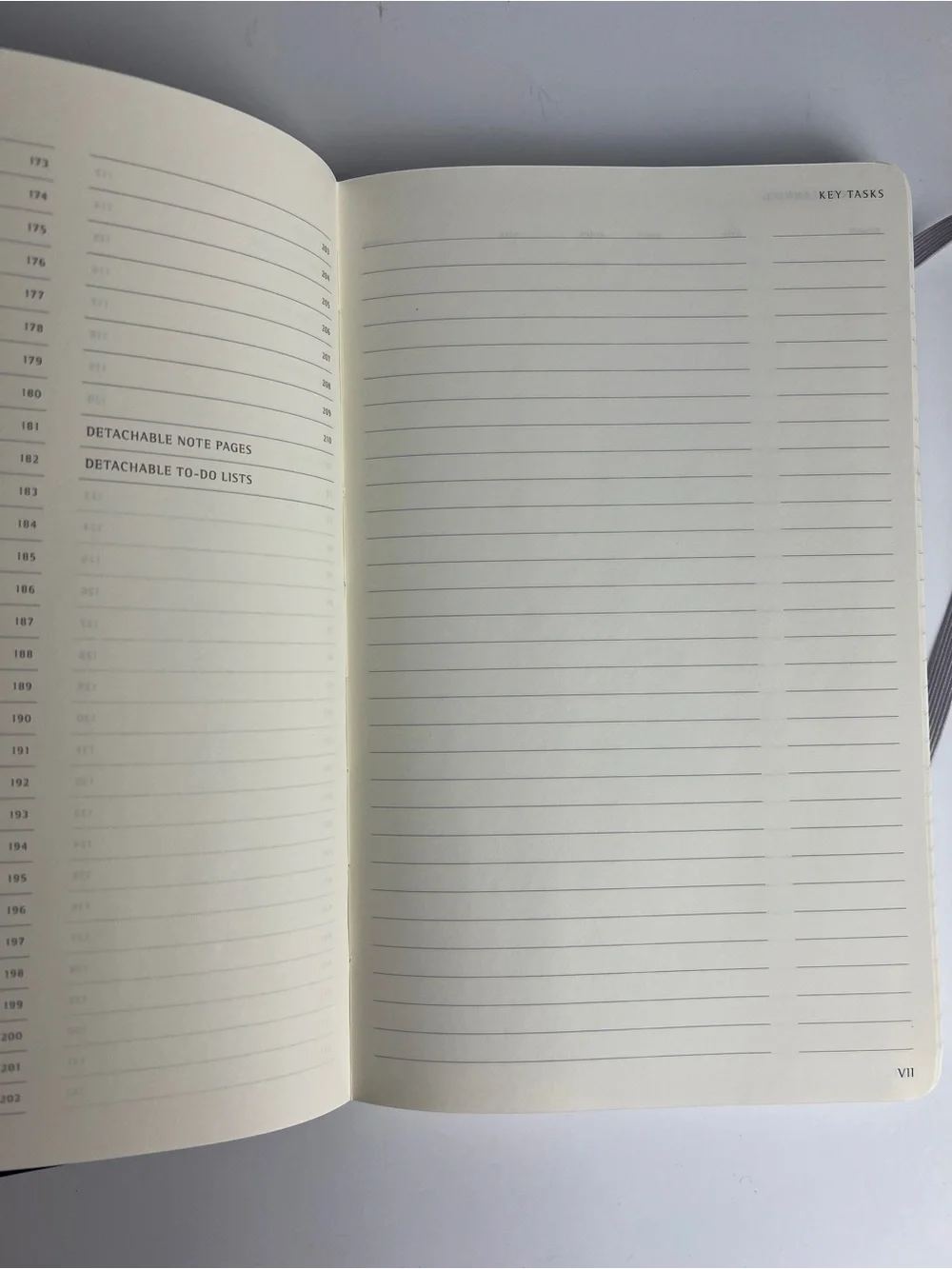Moleskine Professional Notebook Large 5x8.25